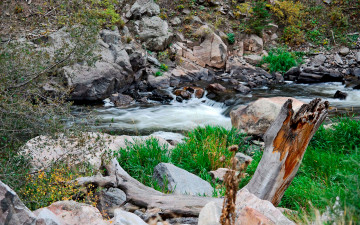Картинка природа реки озера склон камни ручей коряга