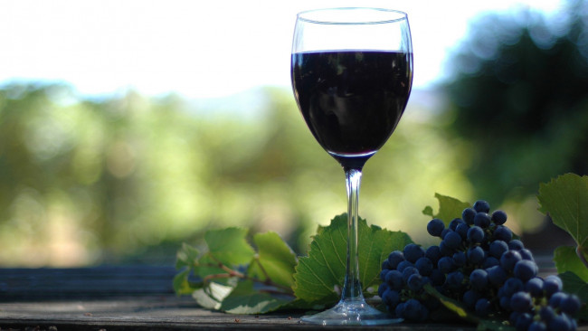 Обои картинки фото еда, напитки, вино, бокал, виноград