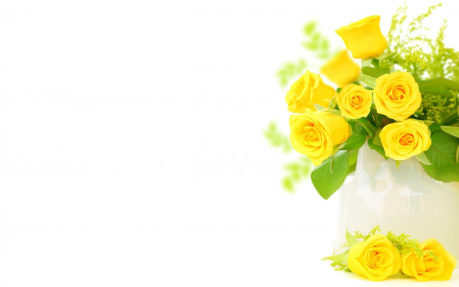 Обои картинки фото цветы, розы, жёлтые