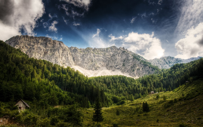 Обои картинки фото природа, горы, деревья, лес, австрия, austria