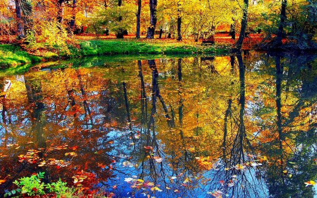 Обои картинки фото природа, парк, краски, пруд, деревья, осень
