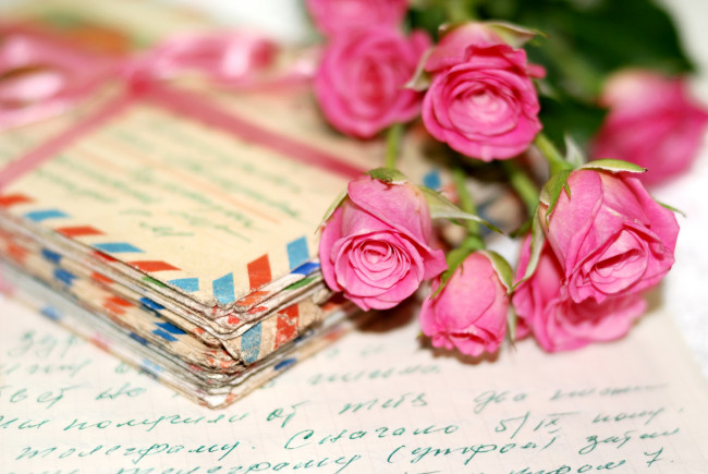 Обои картинки фото цветы, розы, письма, почерк, розовый