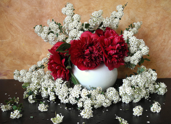 Обои картинки фото цветы, разные, вместе, ваза, таволга, пионы