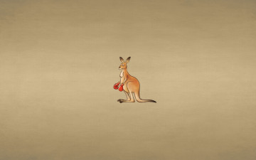 Картинка рисованные минимализм боксерские перчатки кенгуру фон взгляд kangaroo