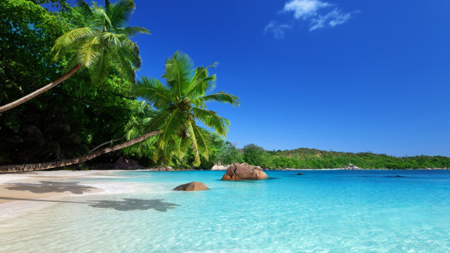 Обои картинки фото природа, тропики, солнце, море, пальмы, песок, пляж, берег, океан, небо, лодка