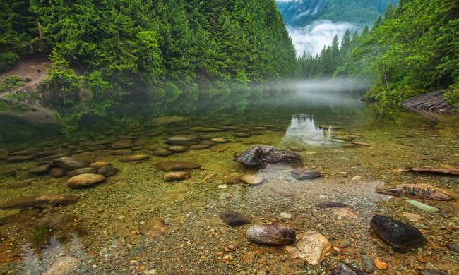 Обои картинки фото природа, реки, озера, canada, british, columbia, туман, камни, канада, лес, горы, река, деревья