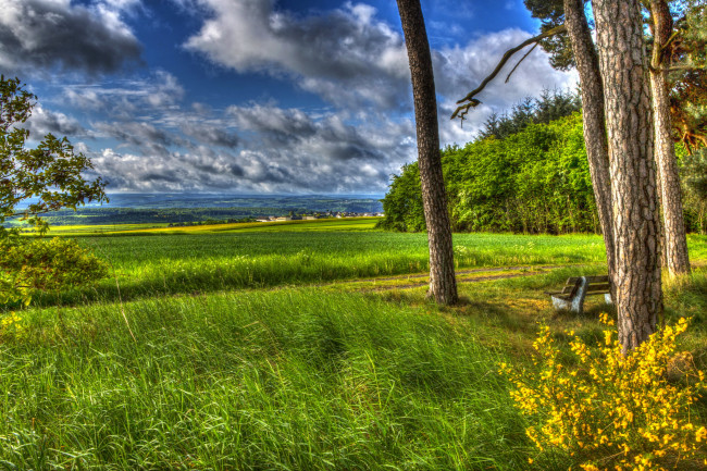 Обои картинки фото ландкерн германия, природа, пейзажи, ландкерн, трава, пейзаж, весна, германия, деревья