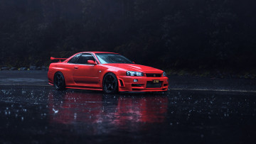 обоя nissan skyline, автомобили, nissan, datsun, красный, дорога, капли, дождь, лес