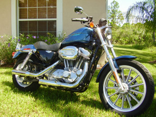 Картинка мотоциклы harley davidson sportster