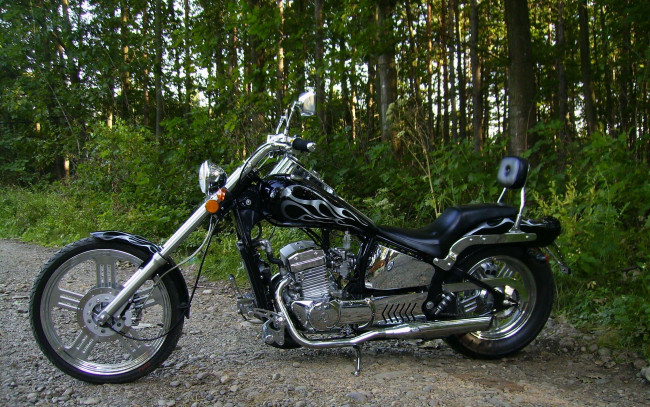 Обои картинки фото мотоциклы, harley, davidson, king, road