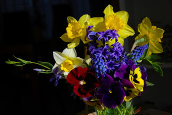 Картинка цветы букеты композиции нарциссы гиацинты виола барвинок