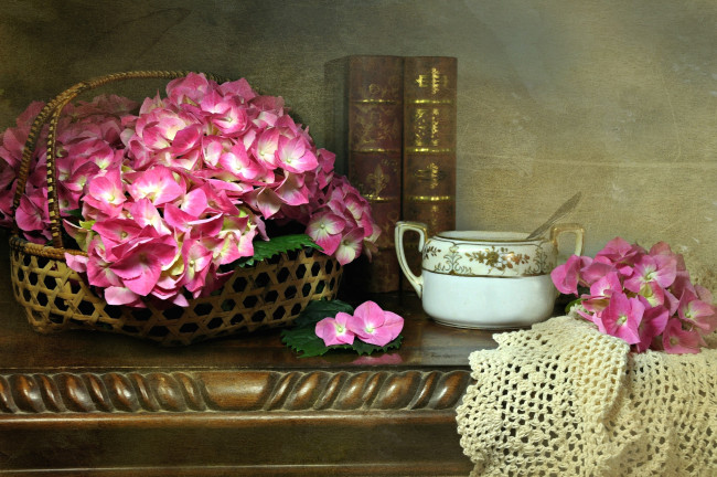 Обои картинки фото цветы, гортензия, розовый, книга, текстура