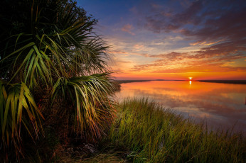 Картинка природа восходы закаты водоем солнце горизонт пальмы