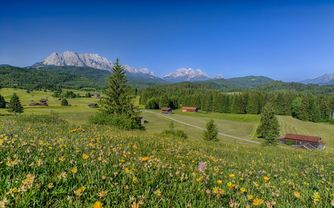 Обои картинки фото bavaria,  germany, природа, луга, germany, alps, бавария, германия, альпы, цветы, горы, лес, дома, пейзаж