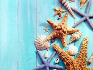 обоя разное, ракушки,  кораллы,  декоративные и spa-камни, морская, звезда
