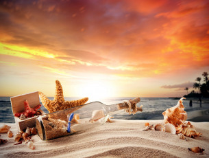 обоя разное, ракушки,  кораллы,  декоративные и spa-камни, звезды, морские, бутылка, песок