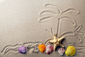 обоя разное, ракушки,  кораллы,  декоративные и spa-камни, морская, звезда, песок