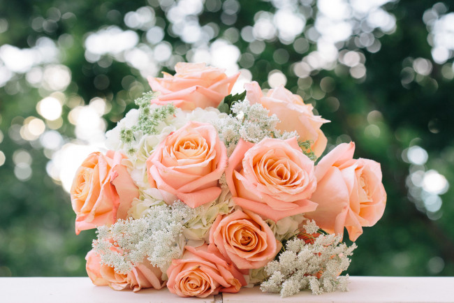 Обои картинки фото цветы, букеты,  композиции, свадебный, букет, розы, бутоны
