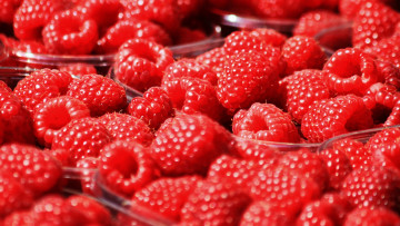 Картинка еда малина контейнеры ягоды вкусно боке размытие красная сочно много макро
