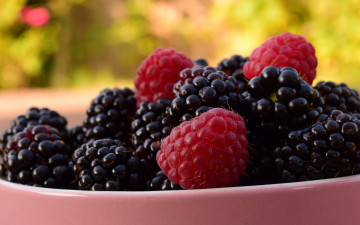 Картинка еда фрукты +ягоды пиала сочная лето вкусно малина ягоды фон природа чашка много размытый ежевика макро миска