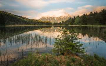 Картинка природа реки озера ёлки утро красота альпы отражение облака горы зеркальное ёлочка ель водоем озеро небо берег ели ёлочки растительность холмы трава пейзаж лес
