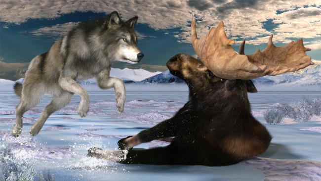 Обои картинки фото 3д графика, животные , animals, лось, волк