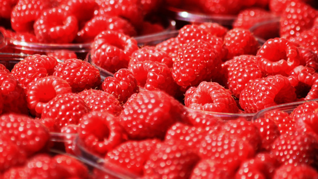 Обои картинки фото еда, малина, контейнеры, ягоды, вкусно, боке, размытие, красная, сочно, много, макро