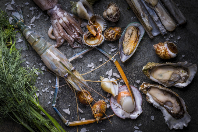 Обои картинки фото еда, рыба,  морепродукты,  суши,  роллы, устрицы, креветки, морепродукты, кальмар, моллюски