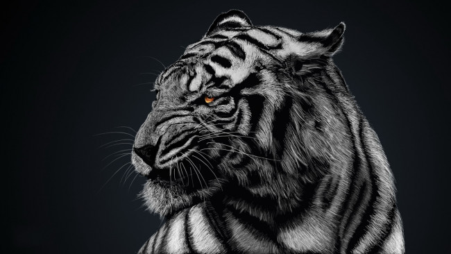 Обои картинки фото рисованные, животные, тигры, фон, тигр