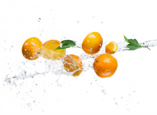Картинка еда цитрусы вода брызги листики белый фон апельсин