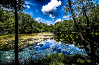 Картинка природа реки озера облака озеро лес