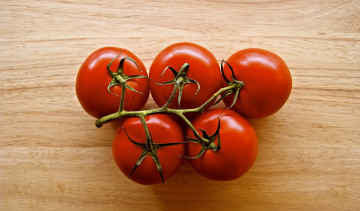 Картинка еда помидоры ветка красный томаты