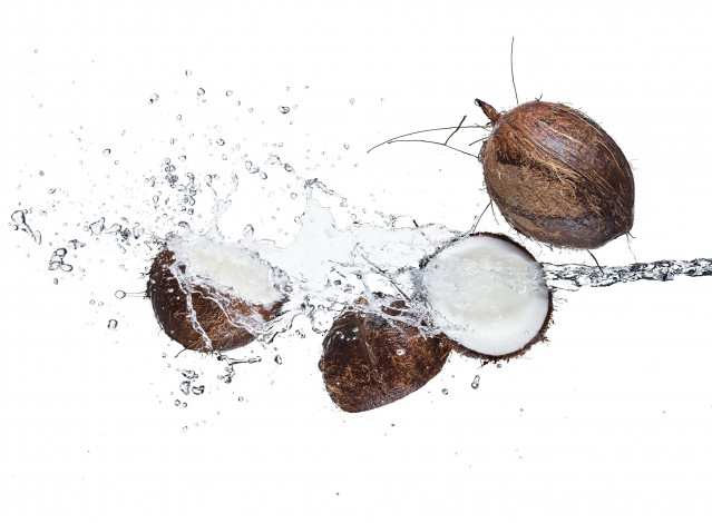 Обои картинки фото еда, кокос, белый, фон, брызги, вода