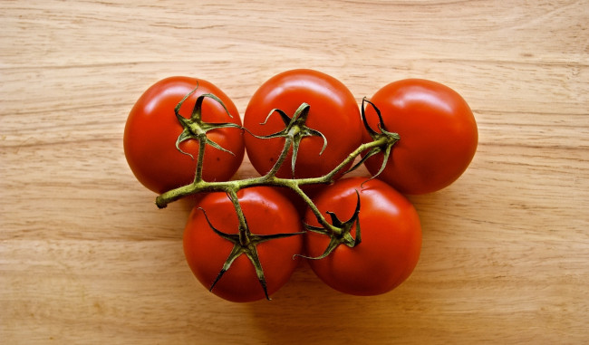 Обои картинки фото еда, помидоры, ветка, красный, томаты