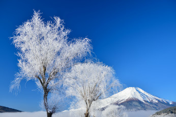 Картинка природа зима деревья небо гора фудзияма снег Япония