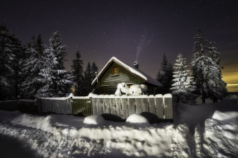 Картинка природа зима ночь лес ели снег забор избушка