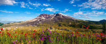 Картинка природа луга гора цветы равнина
