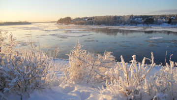Картинка природа реки озера деревья лед снег зима река небо