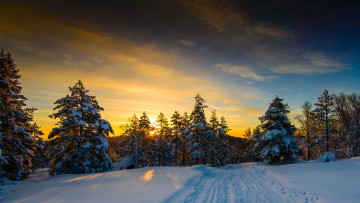 Картинка природа зима деревья снег облака свет