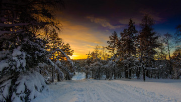 Картинка природа зима деревья снег тучи свет