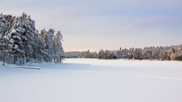 Картинка природа зима снег небо лес