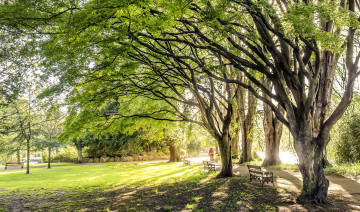 Картинка природа парк лавочки деревья солнечно скамейки