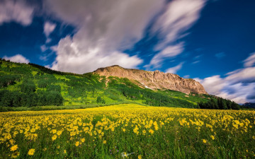 Картинка природа горы облака цветы луг колорадо colorado crested butte mountain resort