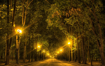 Картинка природа парк аллея фонари lomonosov moscow state university москва россия огни ночь деревья