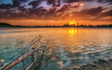 Картинка природа восходы закаты закат река дерево