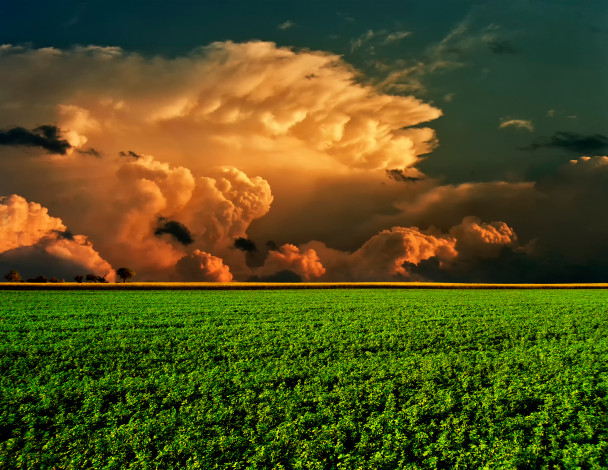 Обои картинки фото природа, поля, облака, небо, поле, горизонт