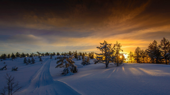 Обои картинки фото природа, зима, деревья, снег, тучи, свет