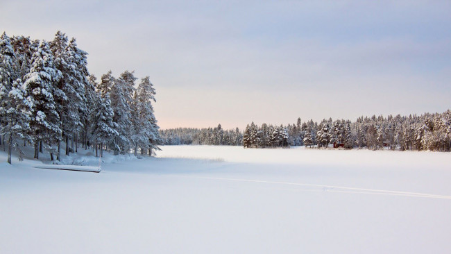 Обои картинки фото природа, зима, снег, небо, лес