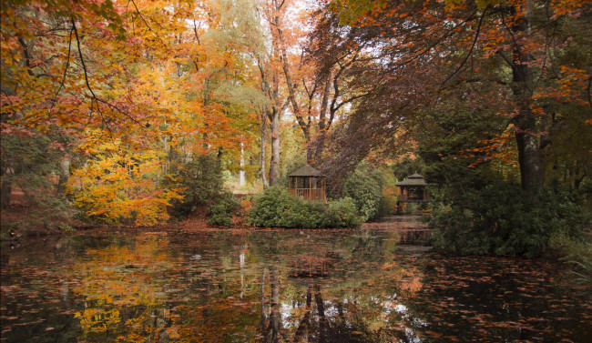 Обои картинки фото maharishi`s garden, природа, парк, осень