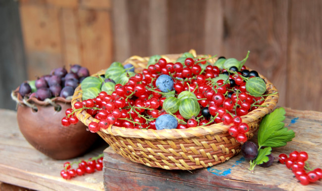 Обои картинки фото еда, фрукты,  ягоды, крыжовник, корзина, смородина, ягоды, лето
